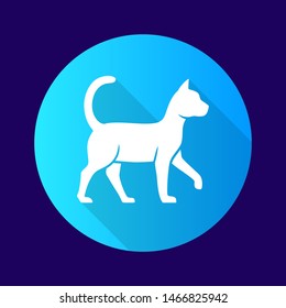 Witch cat blue flat design long shadow glyph icon. Sorceress pet. Magic cat. Witchcraft and sorcery symbol. Vector silhouette illustration