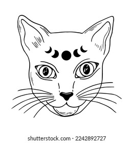 Witch cat with moon phases. Witchcraft line art illustration. Modern witchcraft vector illustration.