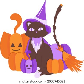 Witch cat with pumpkins and a broom in orange and purple. Bright postcard for Halloween. Vector illustration.