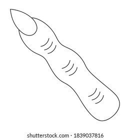 Witch finger with a long nail. Vector illustration. Part of a human hand. Outlined on an isolated white background. Doodle style. Sketch. Severed limb. Halloween symbol. Decoration for All Saints Day.
