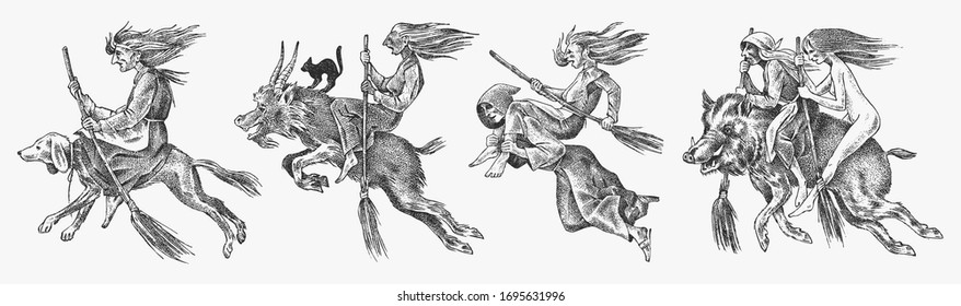 Witch flies with a broom and a dog, a goat and a boar. Ancient mythical Magic characters set. Engraved monochrome sketch. Hand drawn vintage old Fortune illustration.