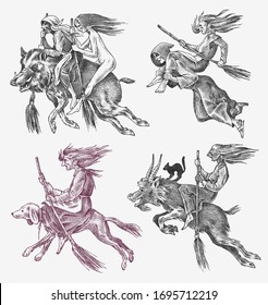 Witch flies with a broom and a dog, a goat and a boar. Ancient mythical Magic characters set. Engraved monochrome sketch. Hand drawn vintage old Fortune illustration.