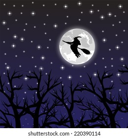 witch flying on a broom on a full moon in the forest
