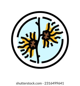 witch hazel cosmetic plant color icon vector. witch hazel cosmetic plant sign. isolated symbol illustration