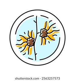 witch hazel cosmetic plant color icon vector. witch hazel cosmetic plant sign. isolated symbol illustration