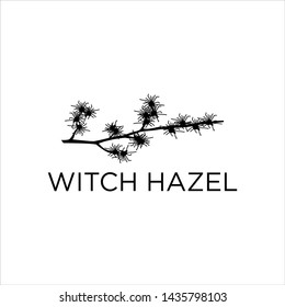 witch hazel plane logo stock design