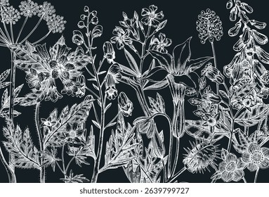 Witch herbs background. Vintage apothecary banner on chalkboard. Poisonous plants and flowers design. NOT AI generated