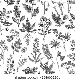 Witch herbs seamless pattern. Poisonous plants background. Apothecary herbs hand-drawn vector illustration. Bohemian design. NOT AI generated