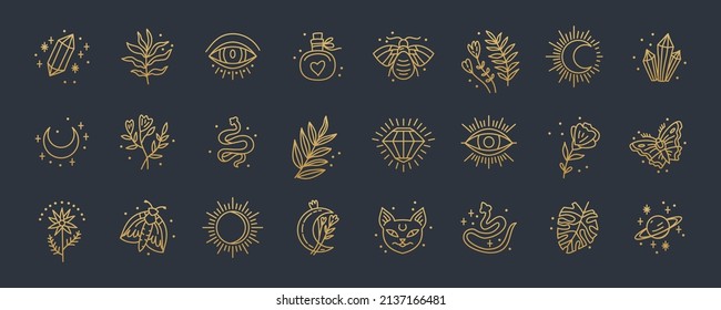 Witch magic design vector elements set. Witchcraft symbols. Ideal for tattoo, textile, cards, mystery. Hand drawn collection, doodle, magician sketch.