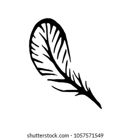 Witch and magic feather item illustration