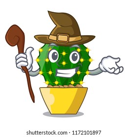 Witch mammillaria compressa cactus isolated on the cartoon