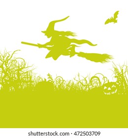 Witch on a broom