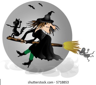 Witch on broom with black cat and mouse. Vector.