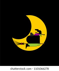 Witch on broom is flying isolated. Halloween Vector illustration.
