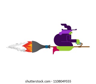 Witch on broom is flying isolated. Halloween Vector illustration.