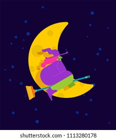 Witch on broom is flying isolated. Halloween Vector illustration.