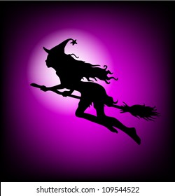 Witch on a broomstick vector