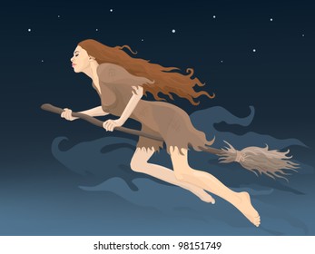 witch on a broomstick vector