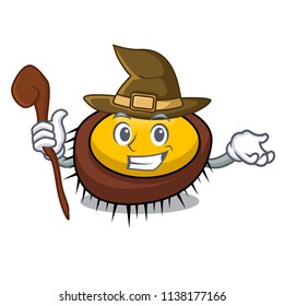 Witch sea urchin mascot cartoon