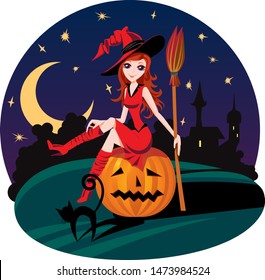 the witch is sitting on a pumpkin, in the hands of the broom, next to black cat, against the night sky and moon