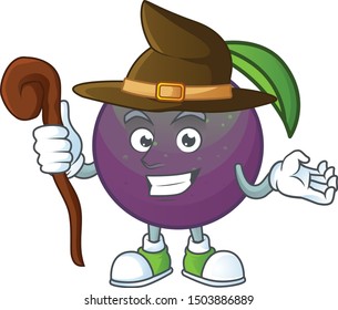 Witch star apple fruit shape character mascot.
