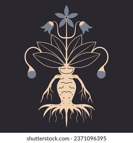 Witchcraft and alchemy occult icon with mandragora creature. Esoteric symbol of magic plant.