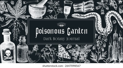 Witchcraft background. Halloween frame design. Bohemian hand drawn vector illustration on chalkboard. Witch herbs, poisonous plants, magic ingredients sketches. NOT AI generated