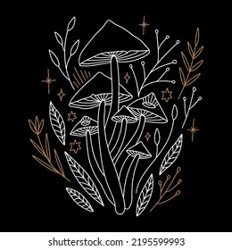 Witchcraft celestial mushrooms set, magical potion ingredients. Cartoon doodle style, woodland forest symbols. Vector and jpg printable image, unique boho clipart illustration, editable isolated