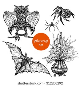 Witchcraft doodle set with hand drawn owl spider and pot isolated vector illustration