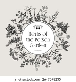 Witchcraft frame design. Poisonous plants hand drawn vector illustration. Witch herbs apothecary vintage card, invitation, print. NOT AI generated