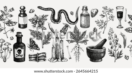Witchcraft hand drawn vector illustration. Bohemian seamless ribbon. Halloween background. Witch herbs, poisonous plants, magic ingredients sketches. NOT AI generated