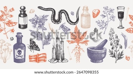 Witchcraft hand drawn vector illustrations. Bohemian seamless ribbon. Halloween background. Witch herbs, poisonous plants, magic ingredients sketches. NOT AI generated