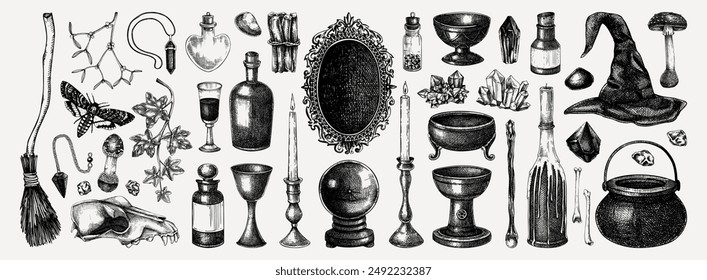 Witchcraft hand-drawn vector illustrations set. Halloween sketches. Vintage apothecary, occultism, alchemy design elements. NOT AI generated