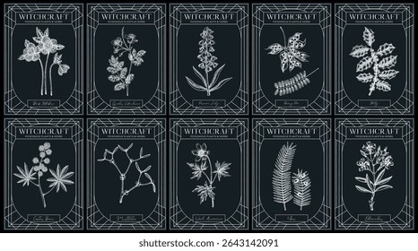 Witchcraft labels set. Poisonous plants and medicinal herbs sketches. Art Nouveau, Art Deco, retro style. Vintage frame design templates on chalkboard. NOT AI generated