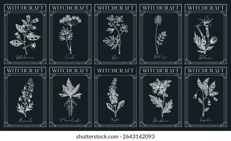 Witchcraft labels set. Poisonous plants and medicinal herbs sketches. Art Nouveau, Art Deco, retro style. Vintage frame design templates on chalkboard. NOT AI generated