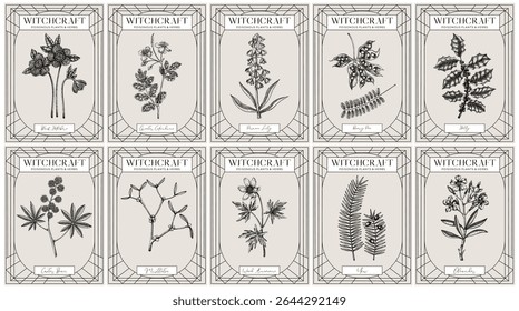 Witchcraft labels set. Poisonous plants and witch herbs sketches. Art Nouveau, Art Deco, retro style. Vintage frame design templates. NOT AI generated