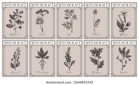 Witchcraft labels set. Poisonous plants and medicinal herbs sketches. Art Nouveau, Art Deco, retro style. Vintage frame design templates. NOT AI generated