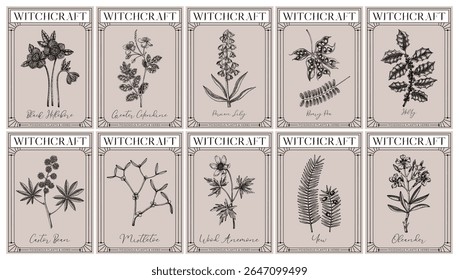 Witchcraft labels set. Poisonous plants and witch herbs sketches. Art Nouveau, Art Deco, retro style. Vintage frame design templates. NOT AI generated