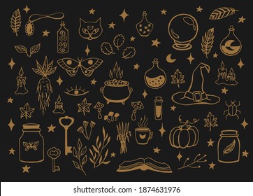 Witchcraft, magic background for witches and wizards. Vector vintage collection. Hand drawn magic tools, concept of witchcraft. Drawn magic tools: book, candles, potions, cauldron, cat, hat, balloon