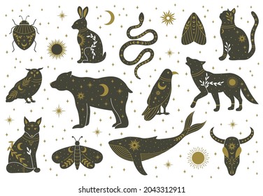 Witchcraft magic mystical boho doodle animals and insects. Magical cat, fox, wolf, owl, whale decorated with moon, stars, leaves vector illustration set. Boho magical animals, whale decorated and owl