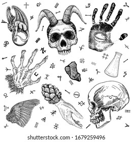 Equipo de lectura mediana oculta para la cocina. Alquimia, religión y ocultismo espiritual. Elementos mágicos brutales. Calavera humana, vaso de poción de vidrio, mano lectora de química, mujer bruja palma. Vector