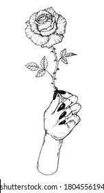 The witch's hand holds a rose. Hand drawn vector illustration. Mystic and occult hand. Mystical print. T-shirt design.