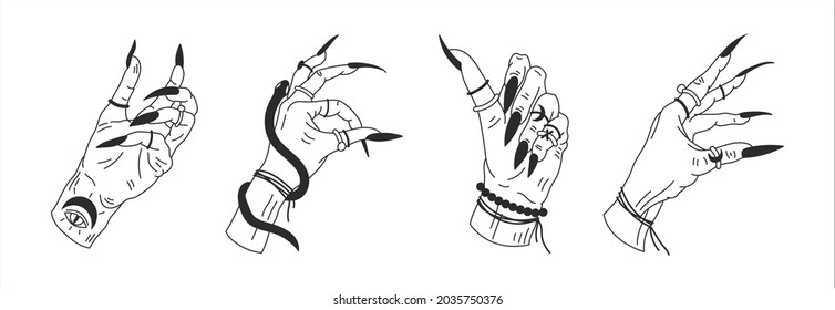 Witch's hands in different positions. Mystical graphic outline vector illustration
