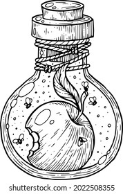 A witch's potion bottle, with an apple.