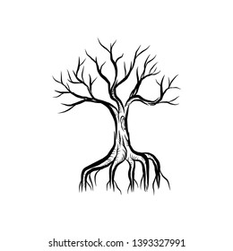 wither tree and roots of mangrove vector illustration, molt tree, drought tree vector