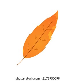 Withered autumn motley leaf. Fallen leaf with blot texture.
