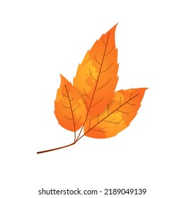 Withered autumn motley leaf. Fallen leaf with blot texture