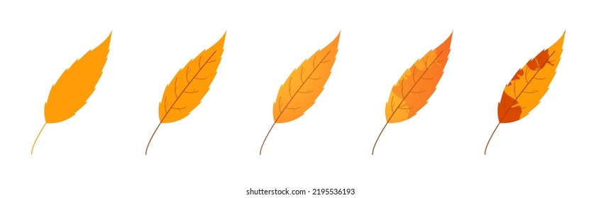 Withered autumn motley leaves. Fallen leaves with variegated texture.