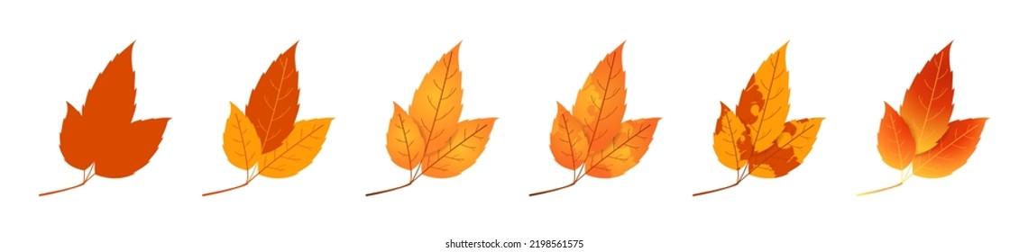 Withered autumn motley leaves. Fallen leaves with variegated texture.