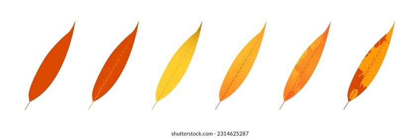 Withered autumn motley leaves. Fallen leaves with variegated texture.